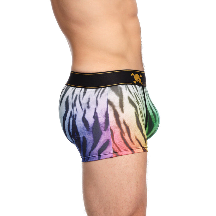 Rainbow Tiger Ombre Trunk