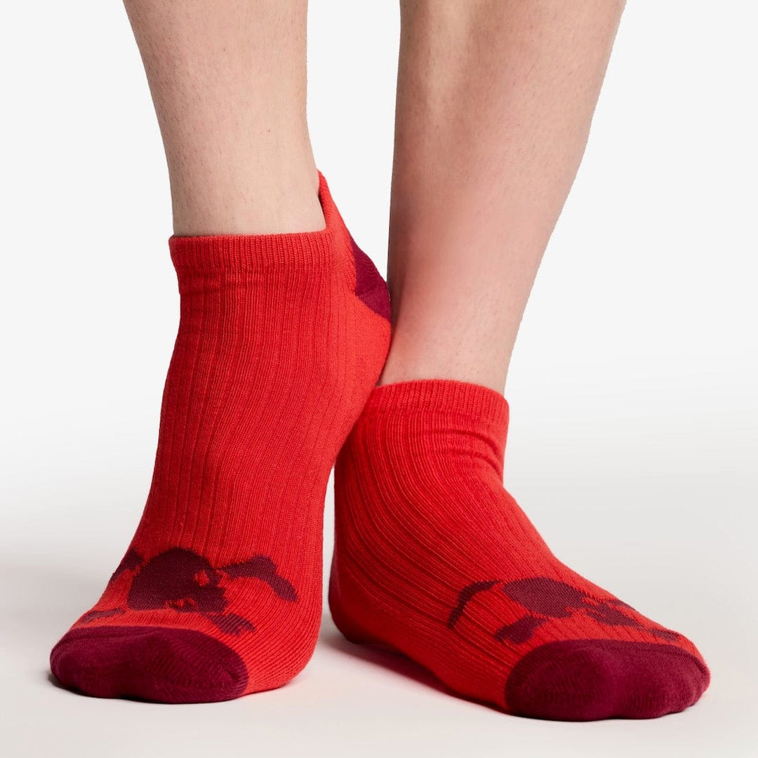 Skull & Bones No Show Socks Red