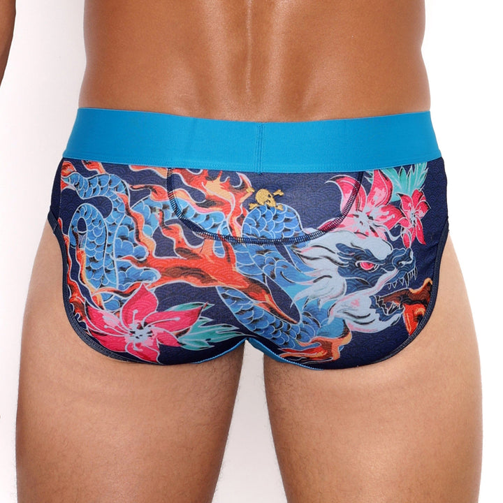 Fire Breathing Dragon Brief