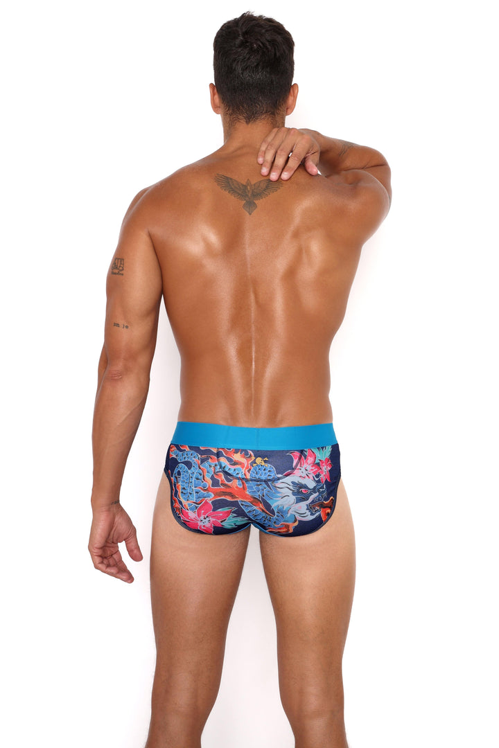 Fire Breathing Dragon Brief