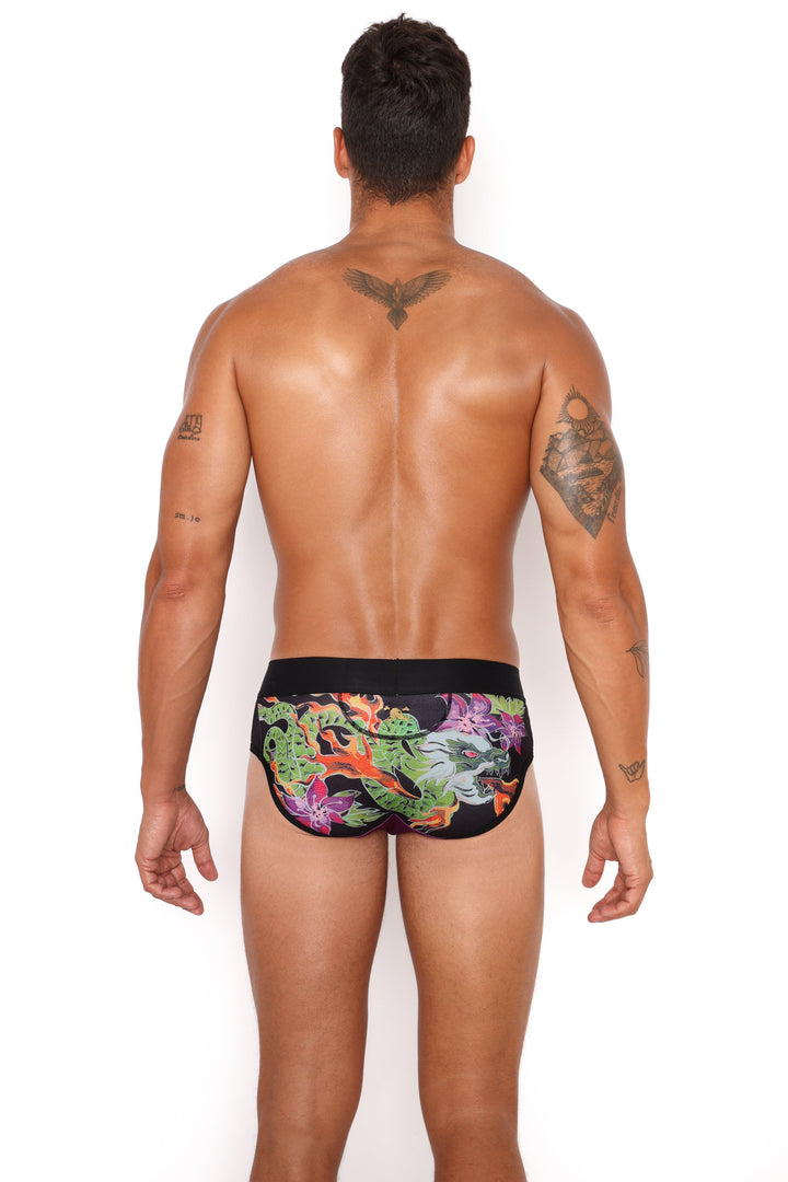 Fire Breathing Dragon Brief