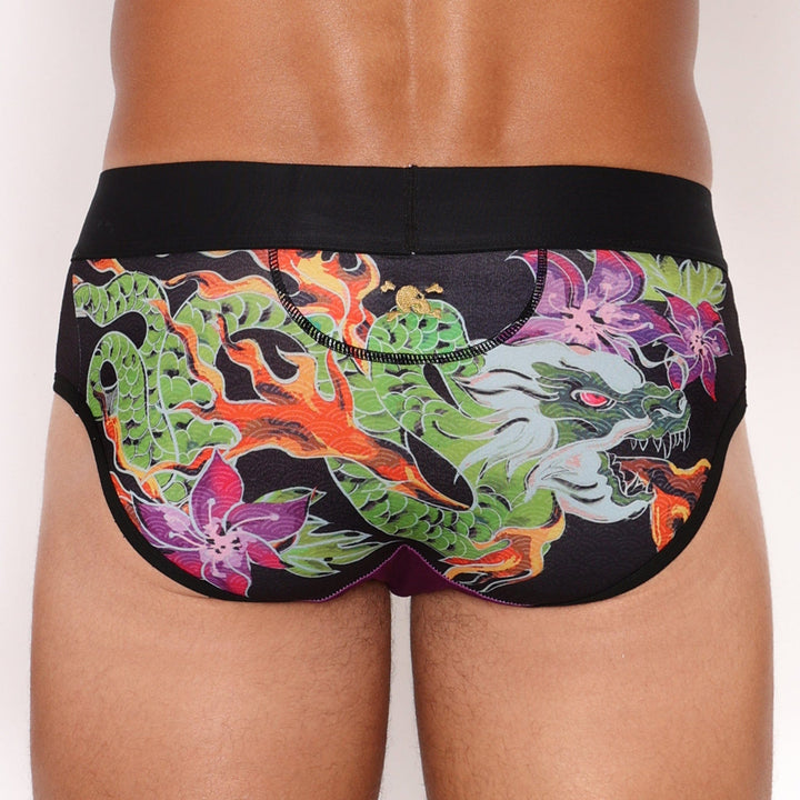 Fire Breathing Dragon Brief
