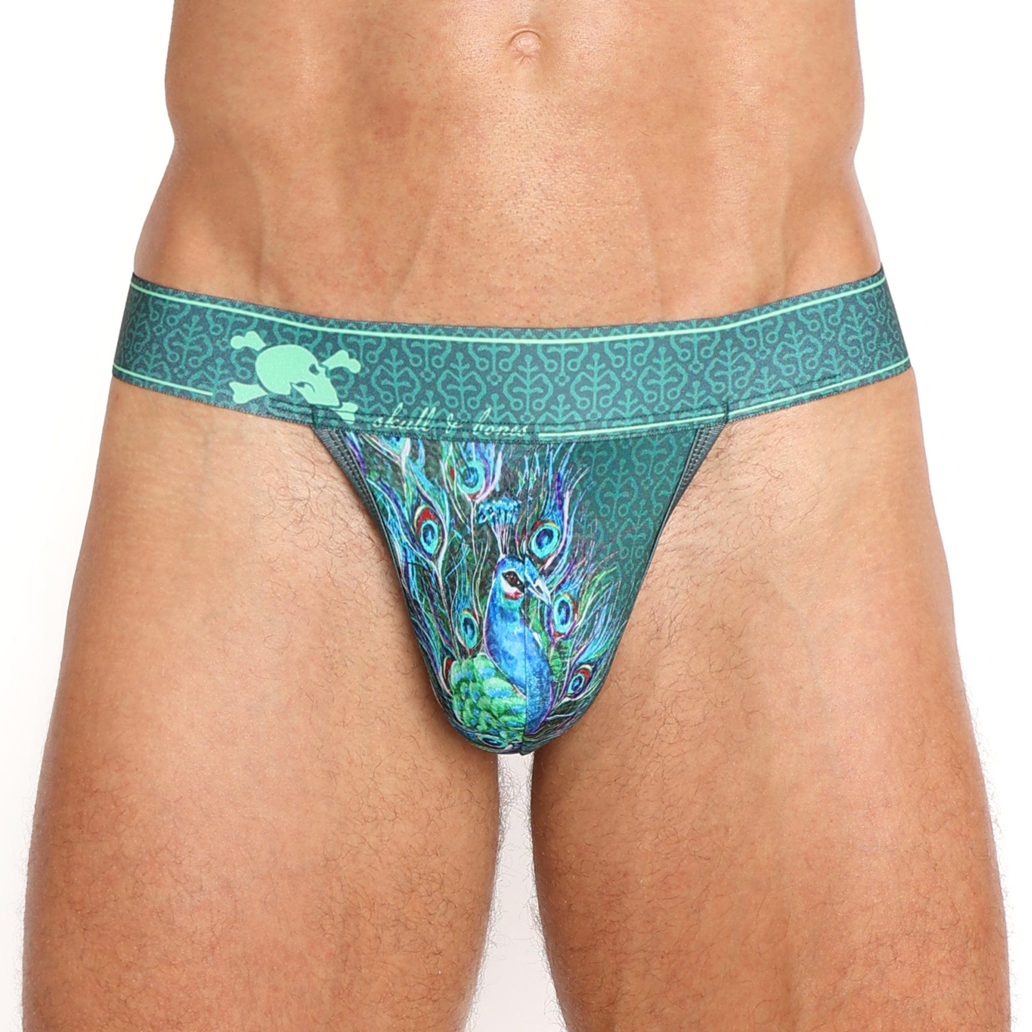 Claudette Dessous Brassiere Thong Bikini Panty – Peacock, Sheer Mesh, Low Rise, Bow Accent