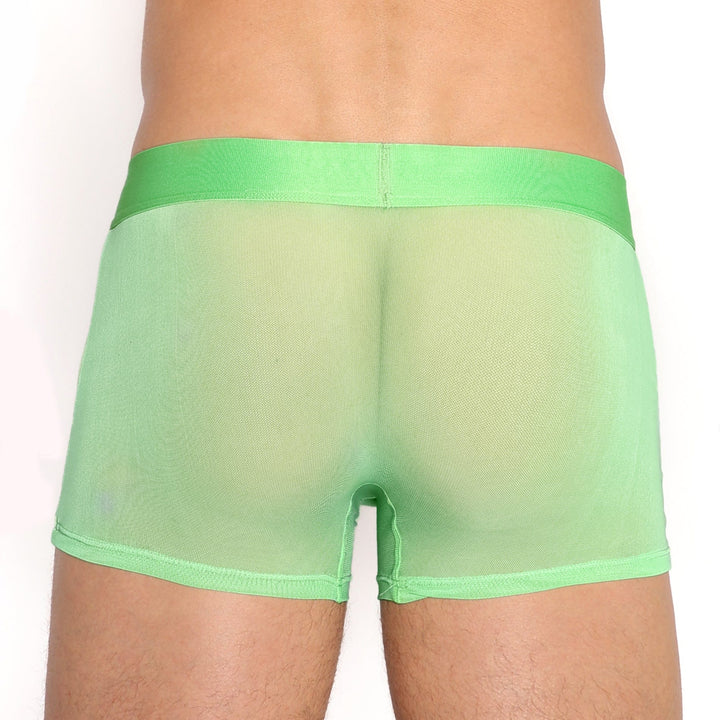 Just The Bones Sheer Trunk Sea Foam