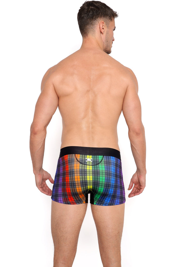 Rainbow Tartan Plaid Trunk