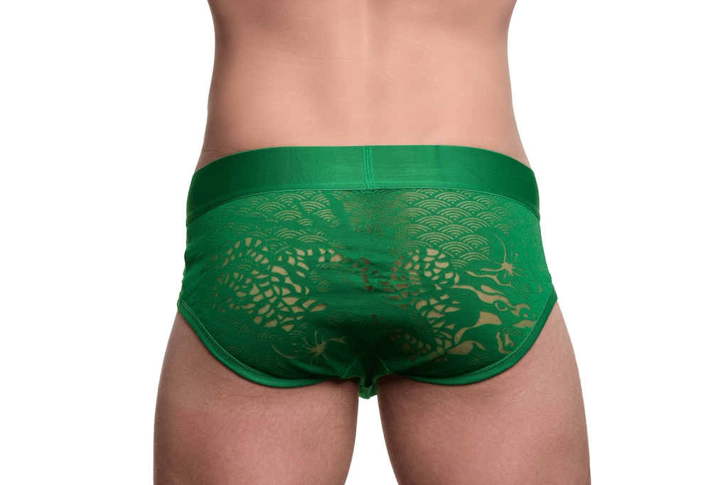 Dragon Burnout Green Brief