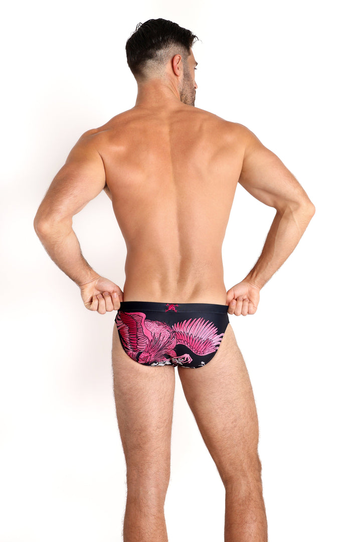 Phoenix Swim Brief