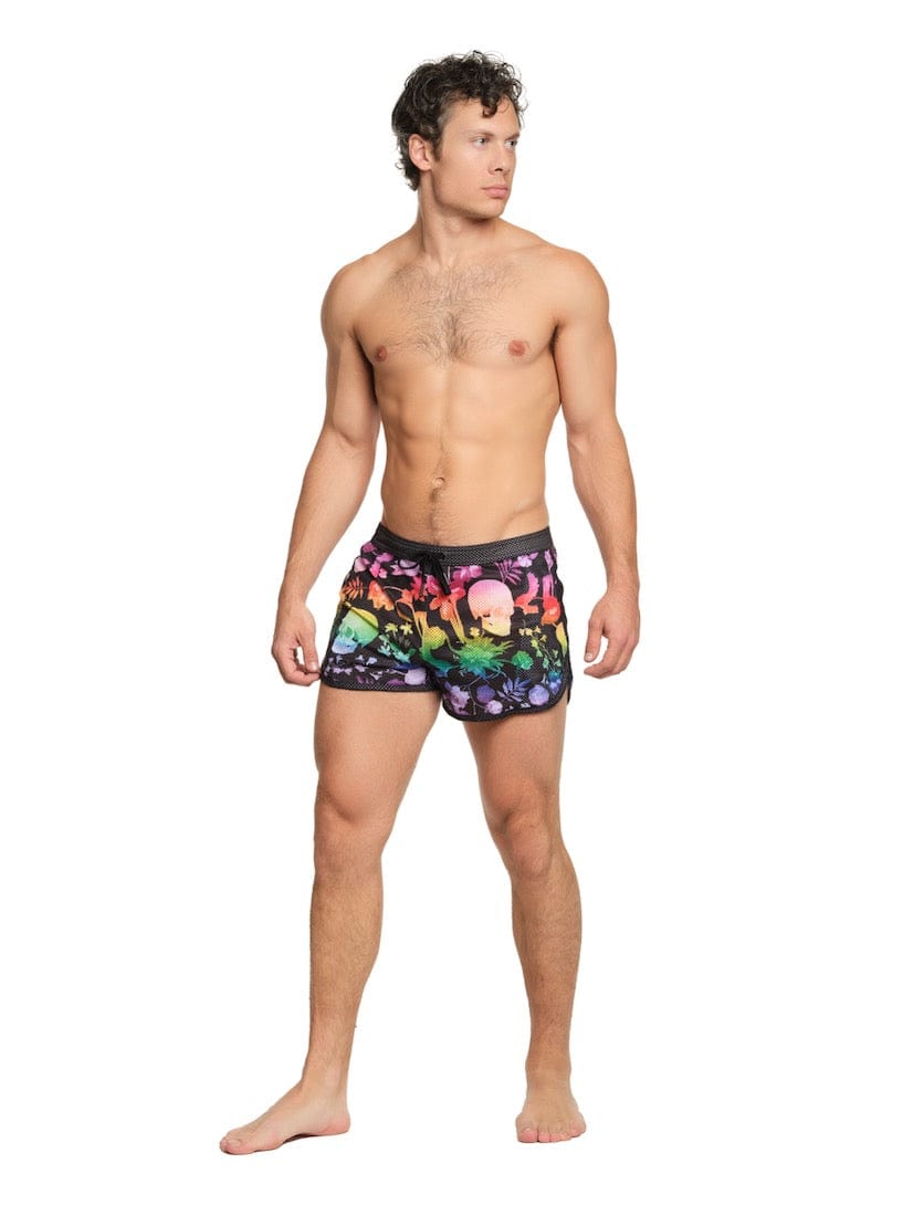 Rainbow Dutch Floral Mesh Short Black