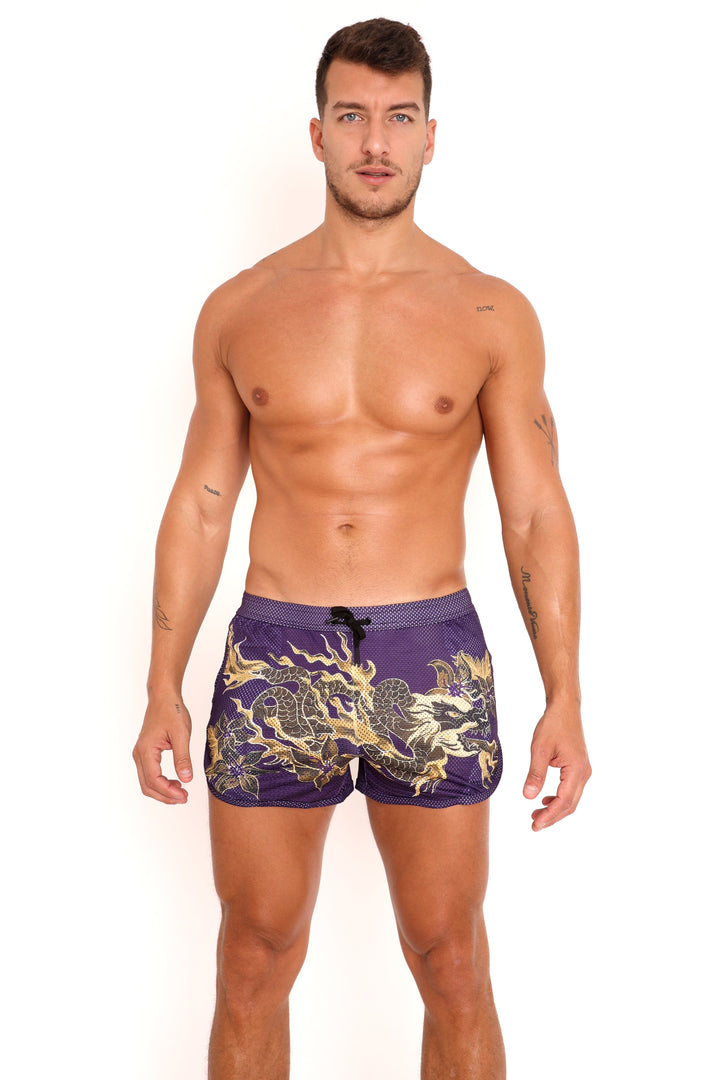 Fire Breathing Dragon Mesh Short Purple