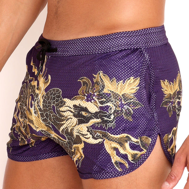 Fire Breathing Dragon Mesh Short Purple