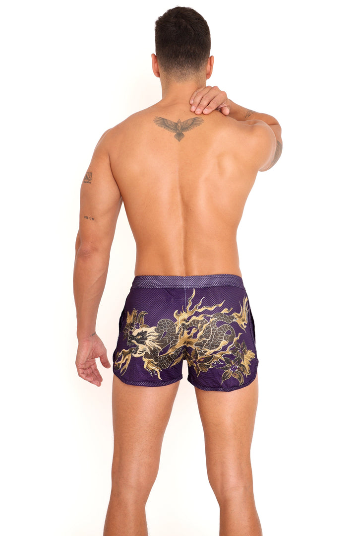 Fire Breathing Dragon Mesh Short Purple
