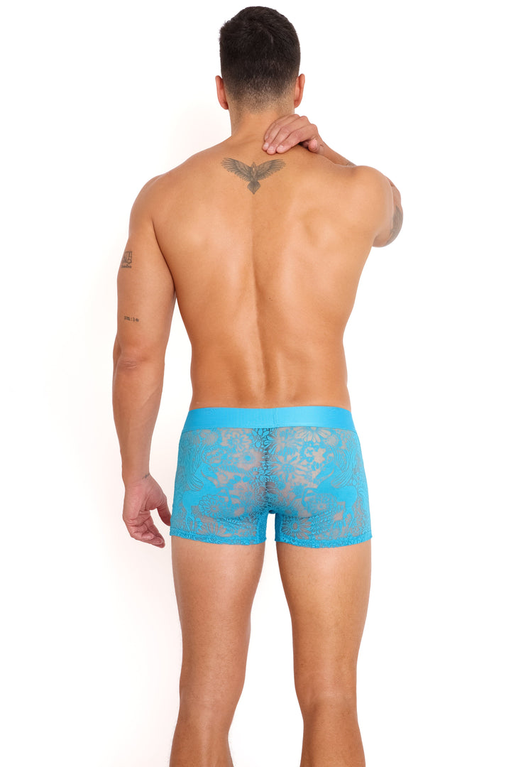 Pegasus Burnout Cerullean Trunk