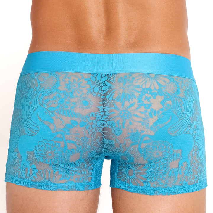 Pegasus Burnout Cerullean Trunk