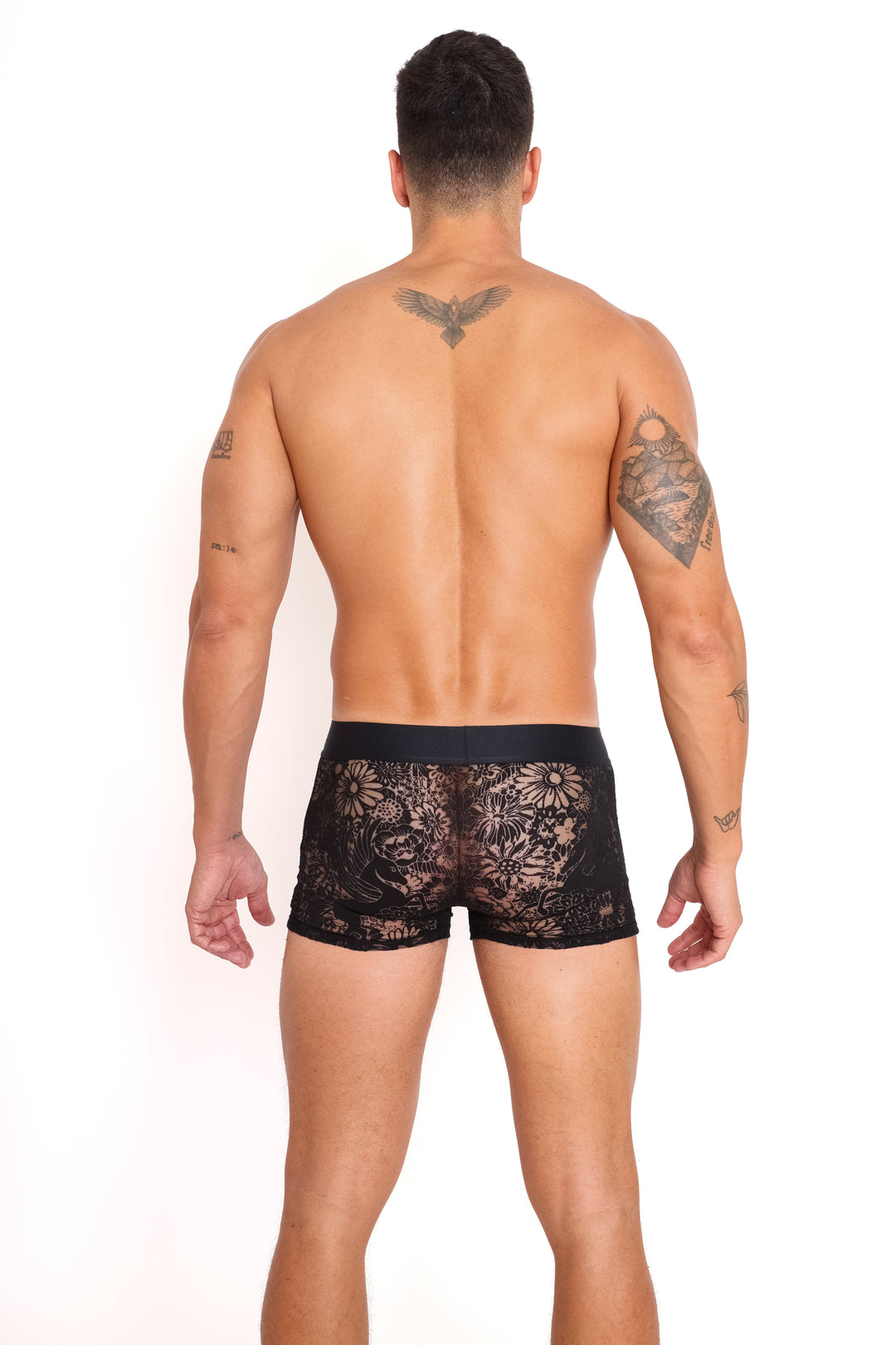 Pegasus Burnout Black Trunk