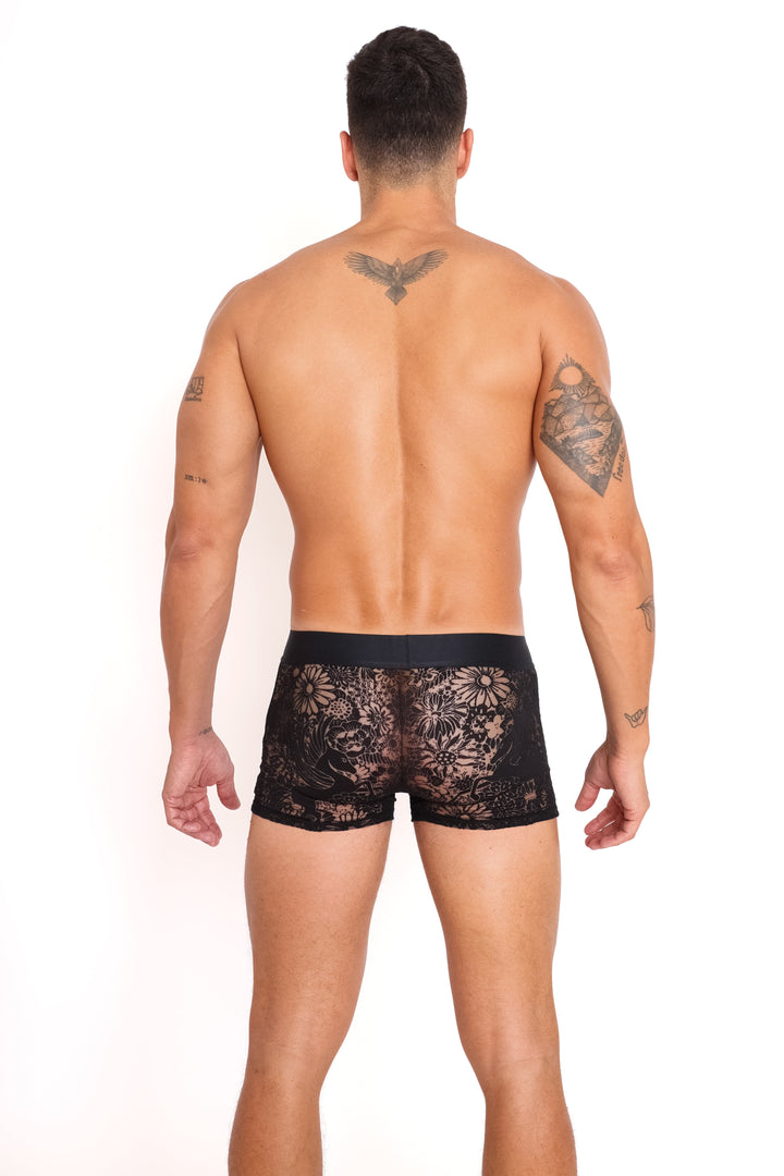 Pegasus Burnout Black Trunk