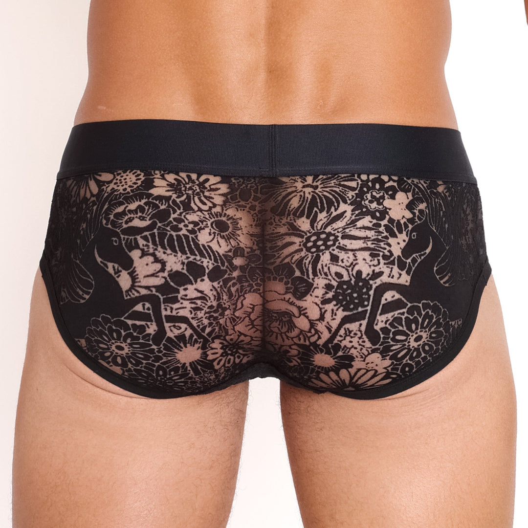 Pegasus Burnout Black Brief