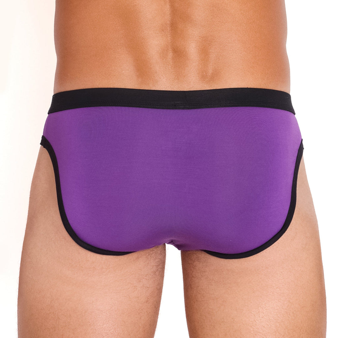 Just The Bones Cloud Brief Purple