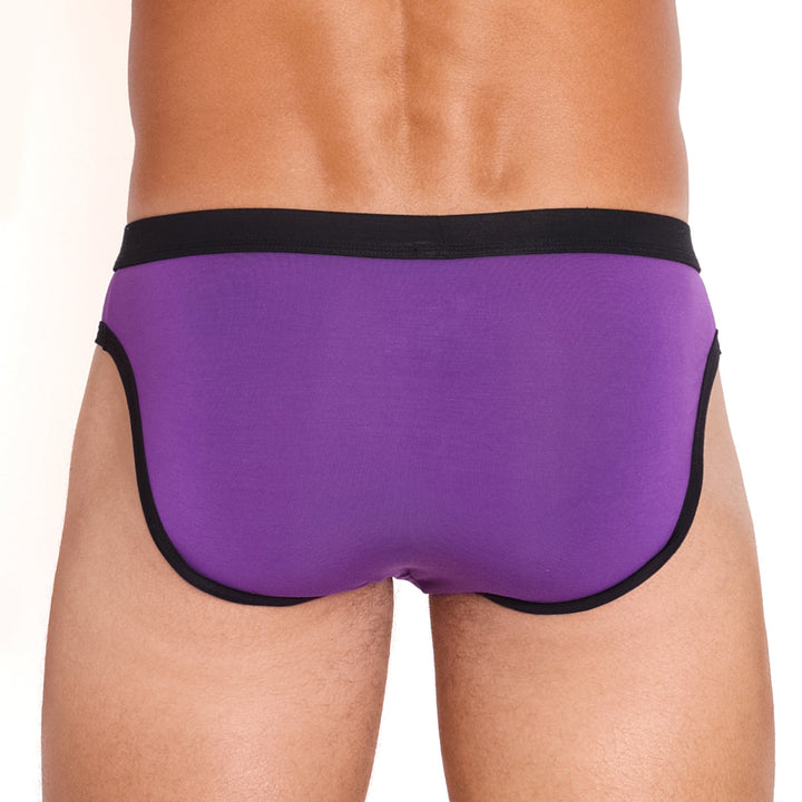 Just The Bones Cloud Brief Purple
