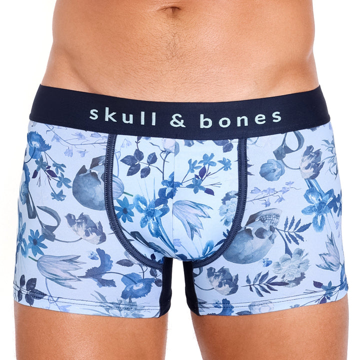 Hand Painted Dutch Floral Trunk Sky