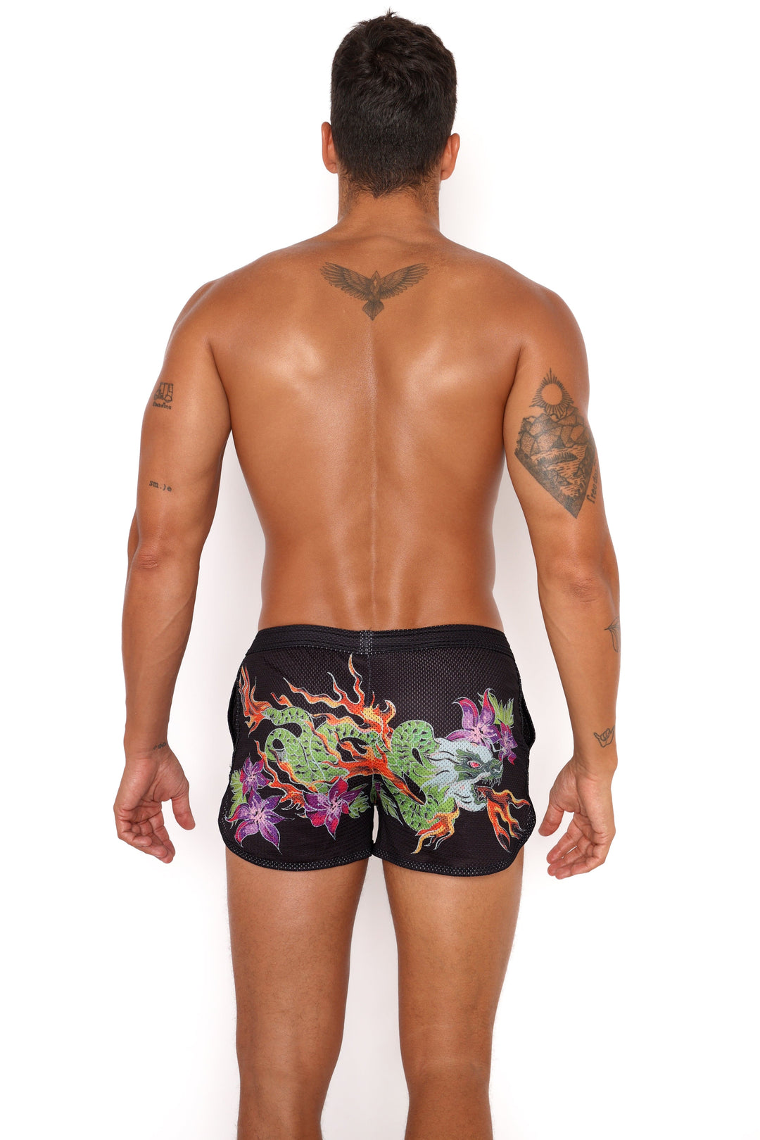 Fire Breathing Dragon Mesh Short