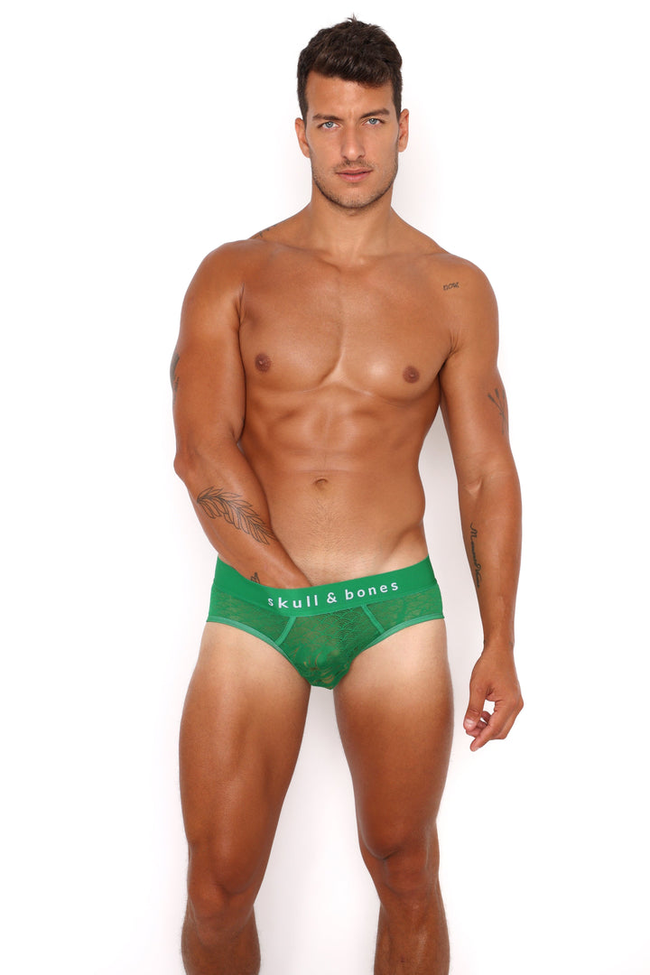 Dragon Burnout Green Brief