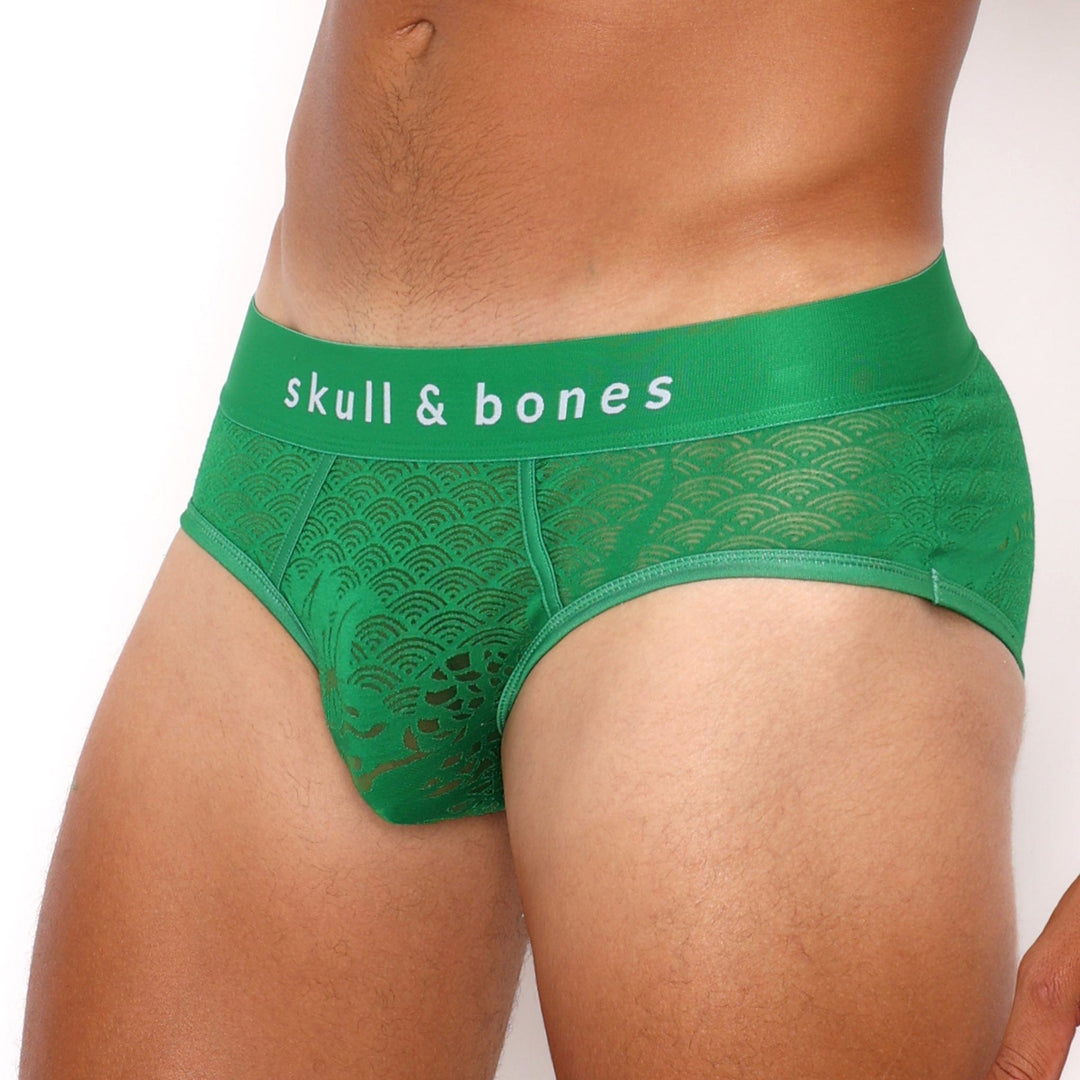 Dragon Burnout Green Brief
