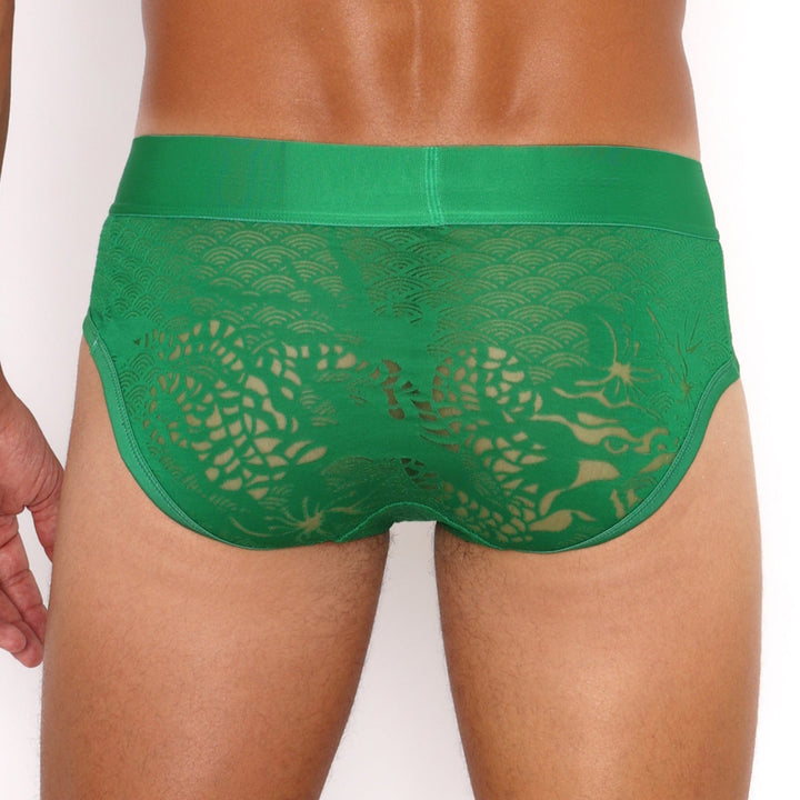 Dragon Burnout Green Brief