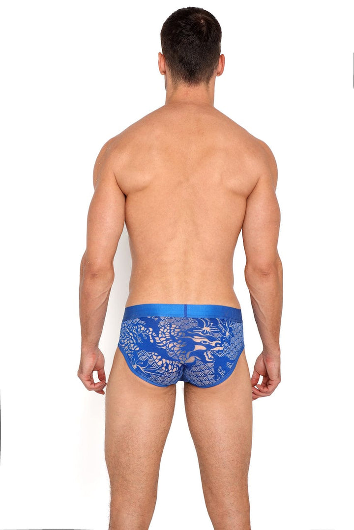 Dragon Burnout Blue Brief