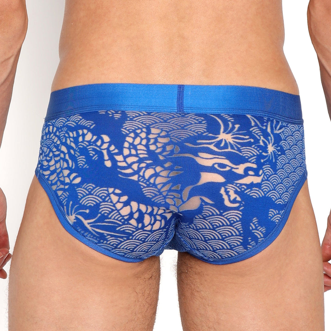 Dragon Burnout Blue Brief