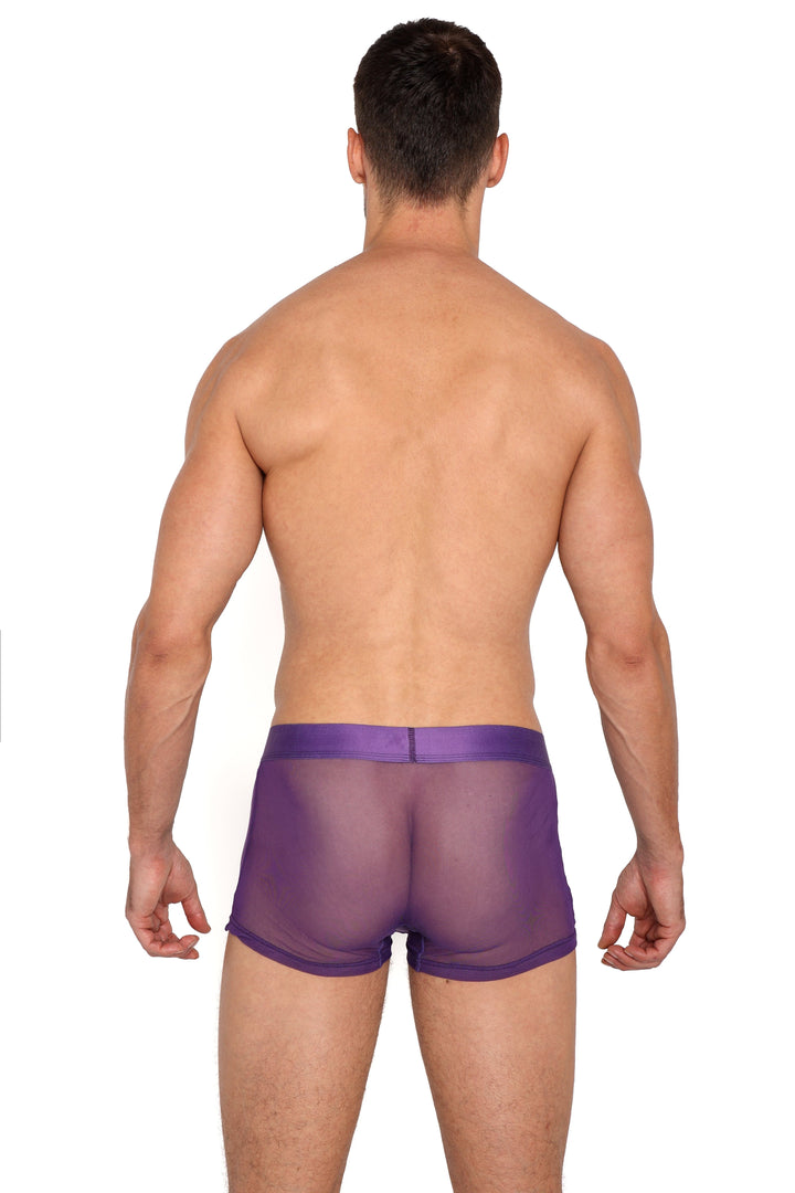 Just The Bones Sheer Trunk Purple