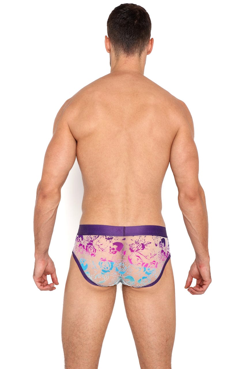 Snake Rose Burnout Ombre Brief