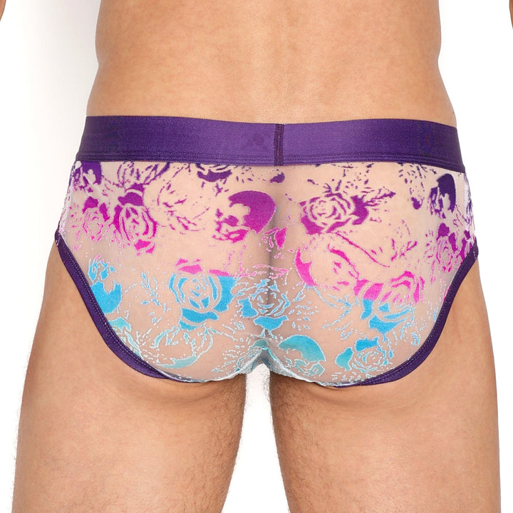 Snake Rose Burnout Ombre Brief