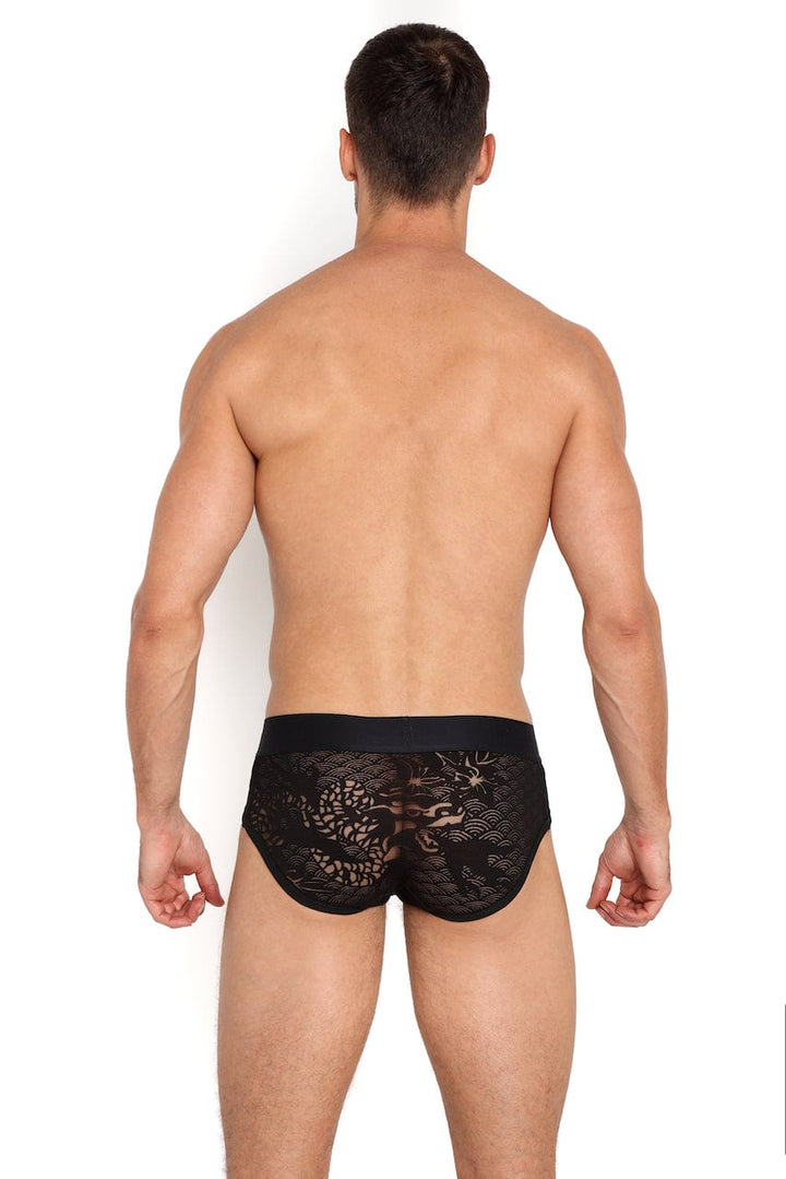 Dragon Burnout Black Brief