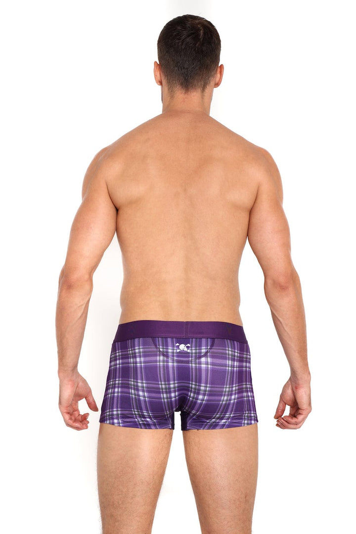 Purple Tartan Plaid Trunk