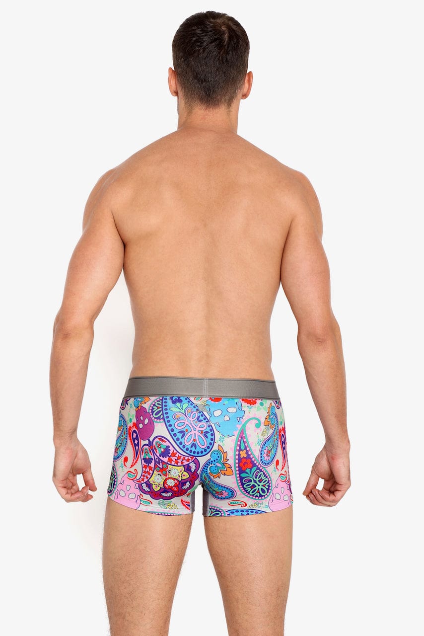 Paisley Skull Multi Trunk