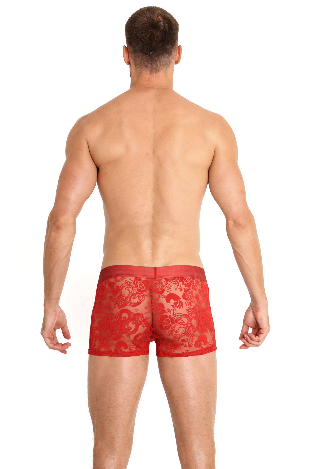 Snake Rose Burnout Trunk Red