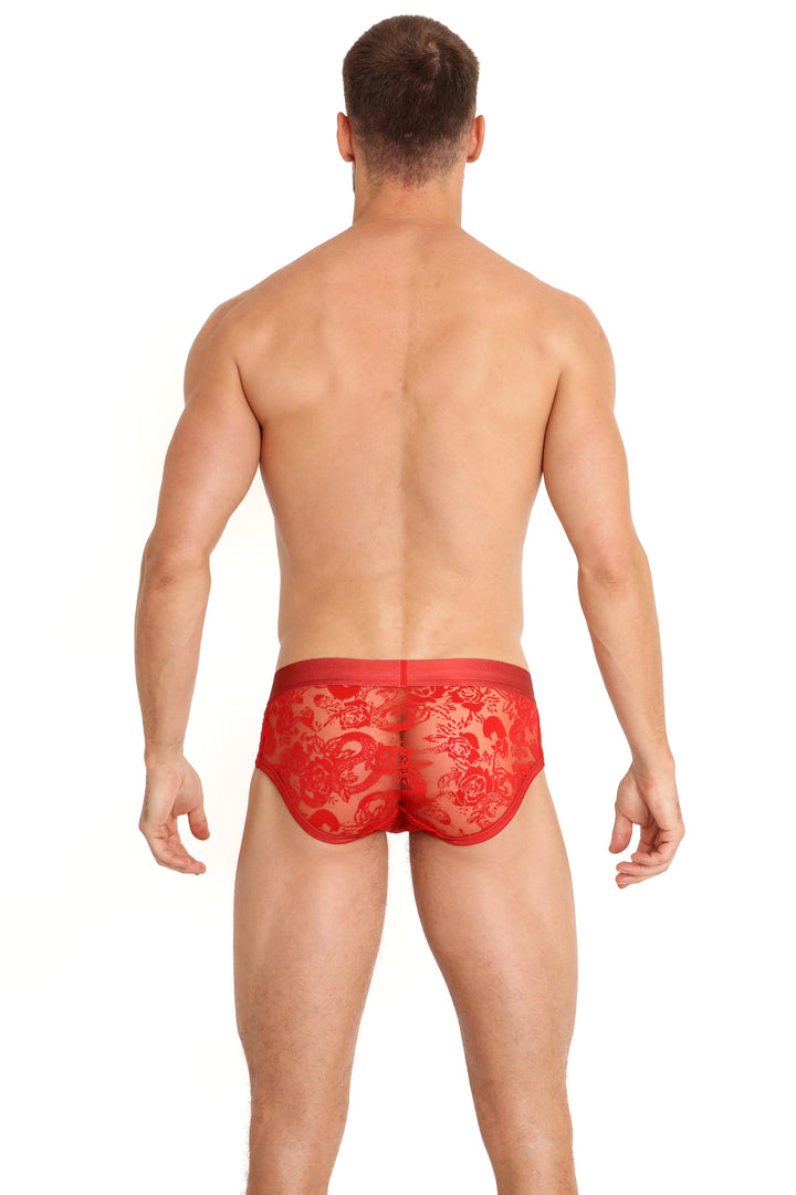 Snake Rose Burnout Brief Red