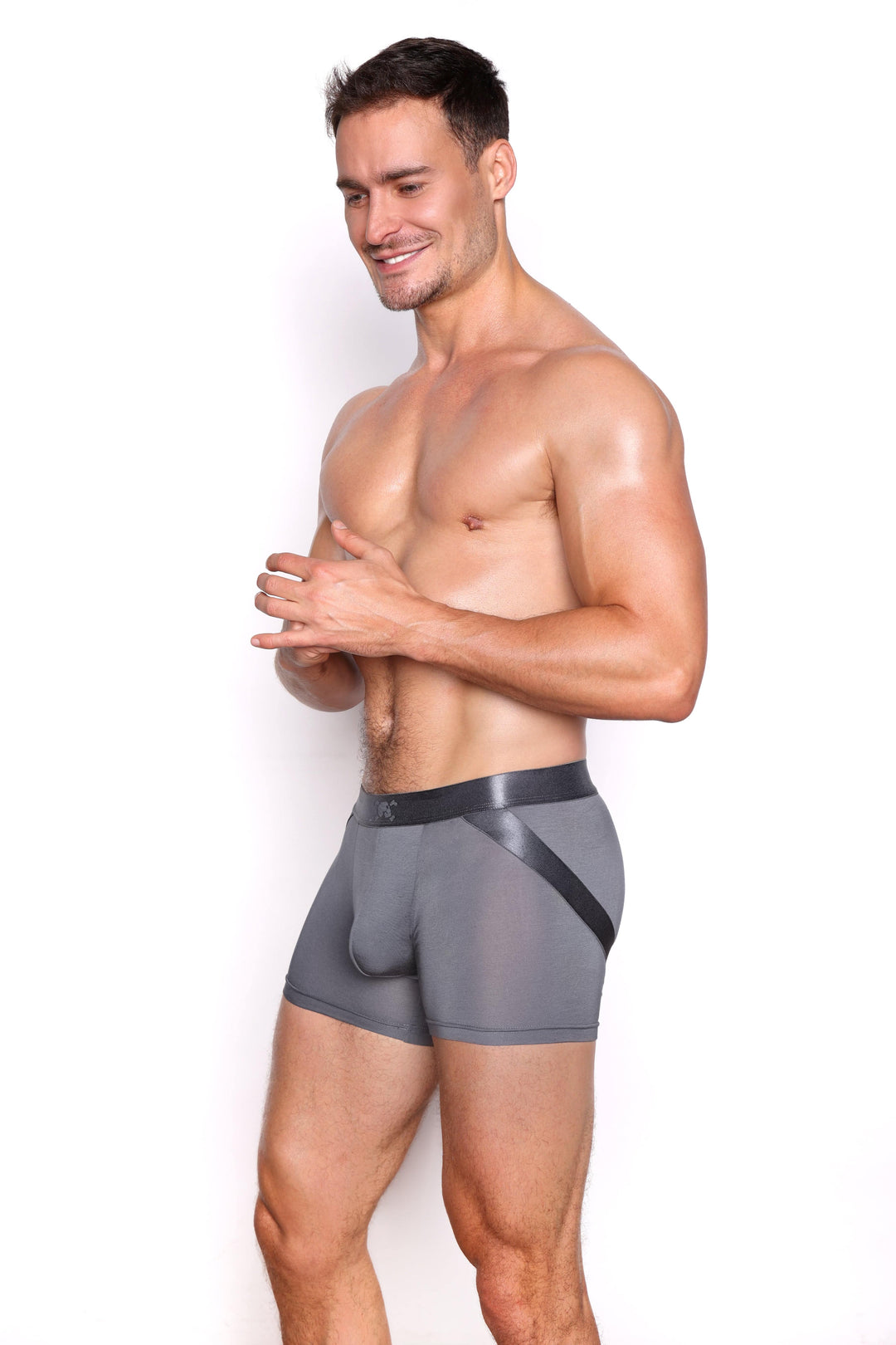 Lift Trunk Grey