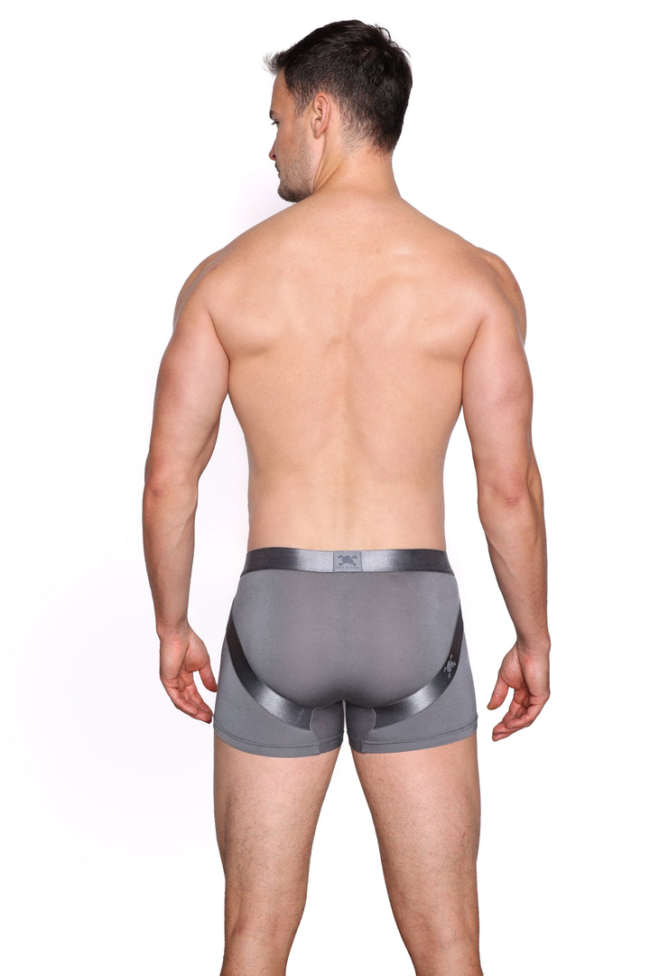 Lift Trunk Grey