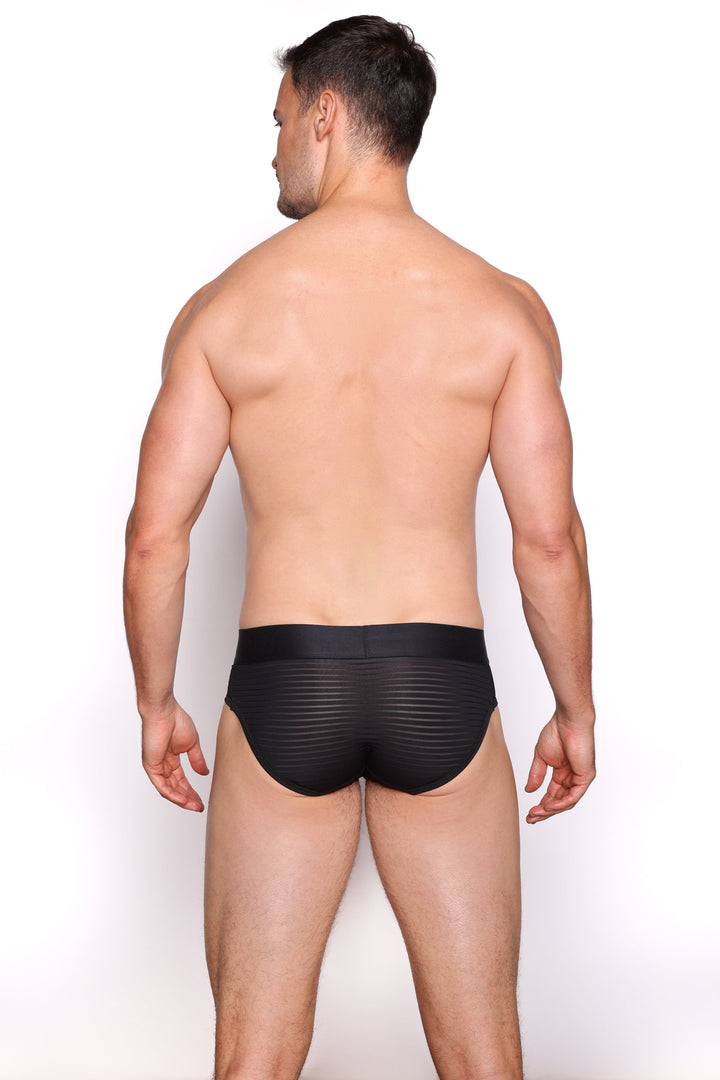 Just The Bones Sheer Black Stripe Brief