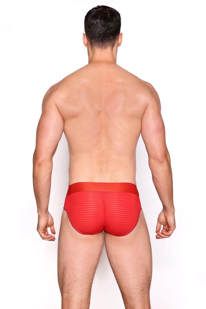 Just The Bones Sheer Red Stripe Brief