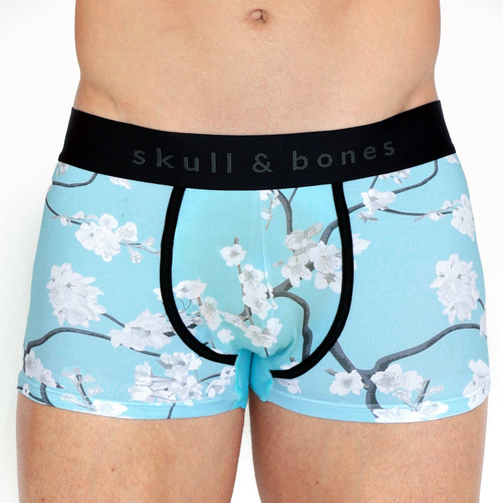 Cherry Blossom Trunk Sky