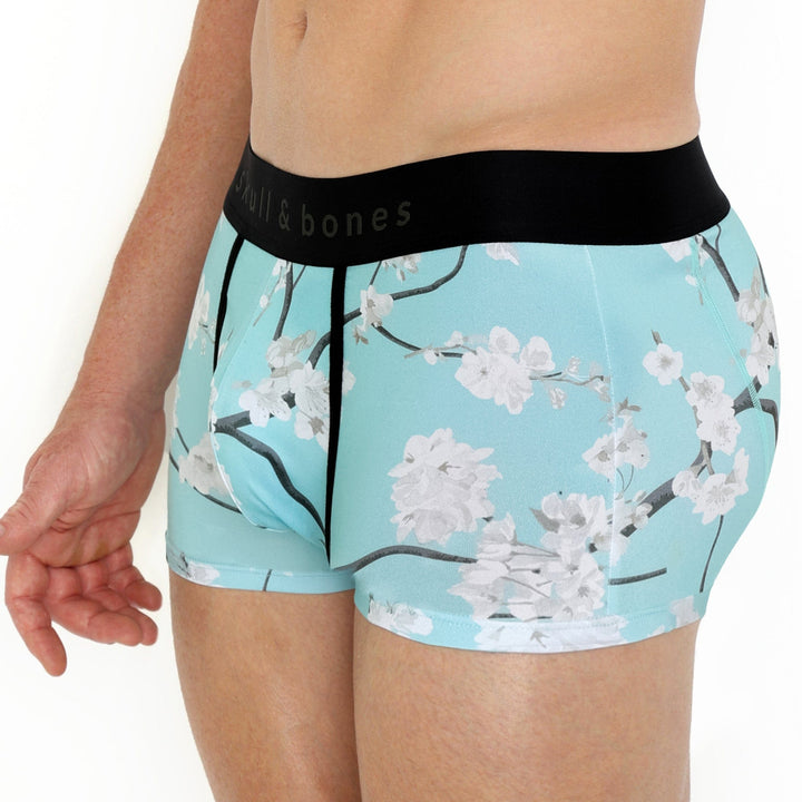 Cherry Blossom Trunk Sky