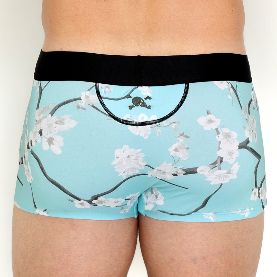 Cherry Blossom Trunk Sky