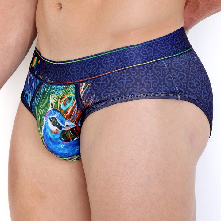 Peacock Rainbow Midnight Brief