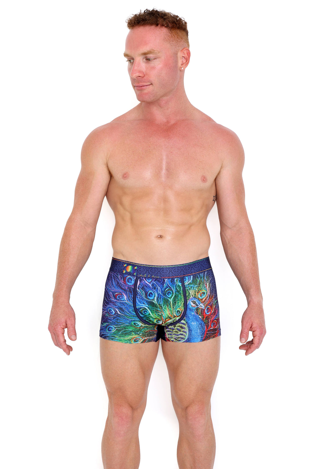 Peacock Rainbow Midnight Trunk