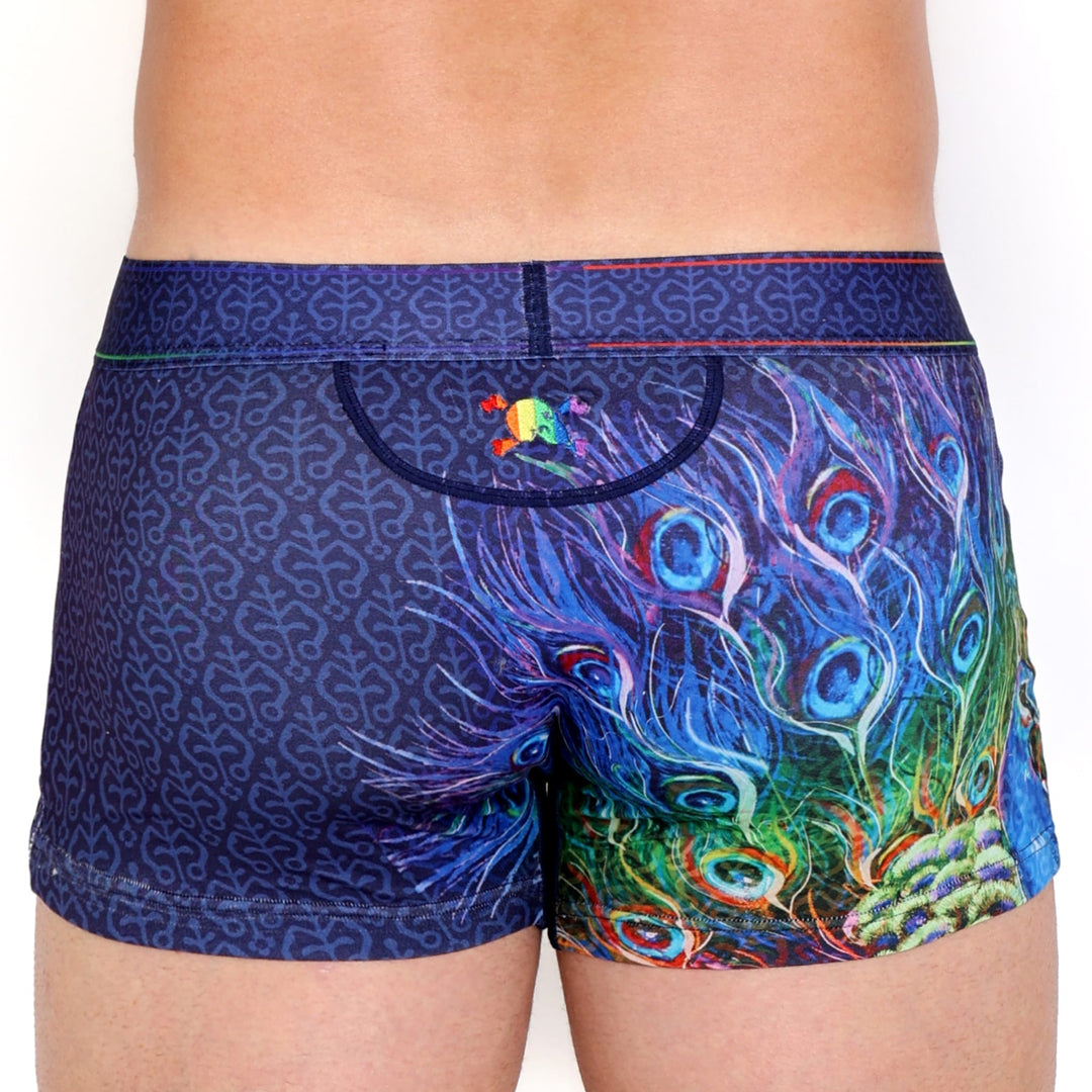 Peacock Rainbow Midnight Trunk