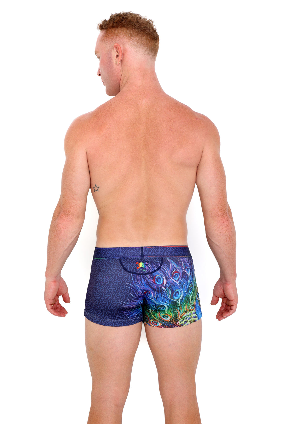 Peacock Rainbow Midnight Trunk