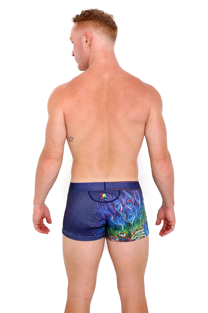 Peacock Rainbow Midnight Trunk