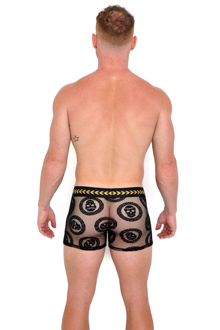 Roman Medallion Burnout Trunk